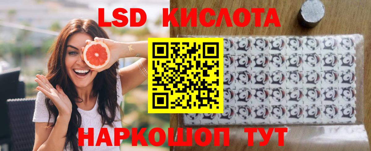 Сегежа    ССЫЛКА  Лсд 25 экстази кислота  ЛСД экстази  Вход с VPN  LSD-25 экстази ecstasy 