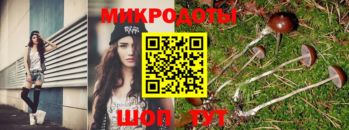 Псилоцибиновые грибы MAGIC MUSHROOMS Сегежа