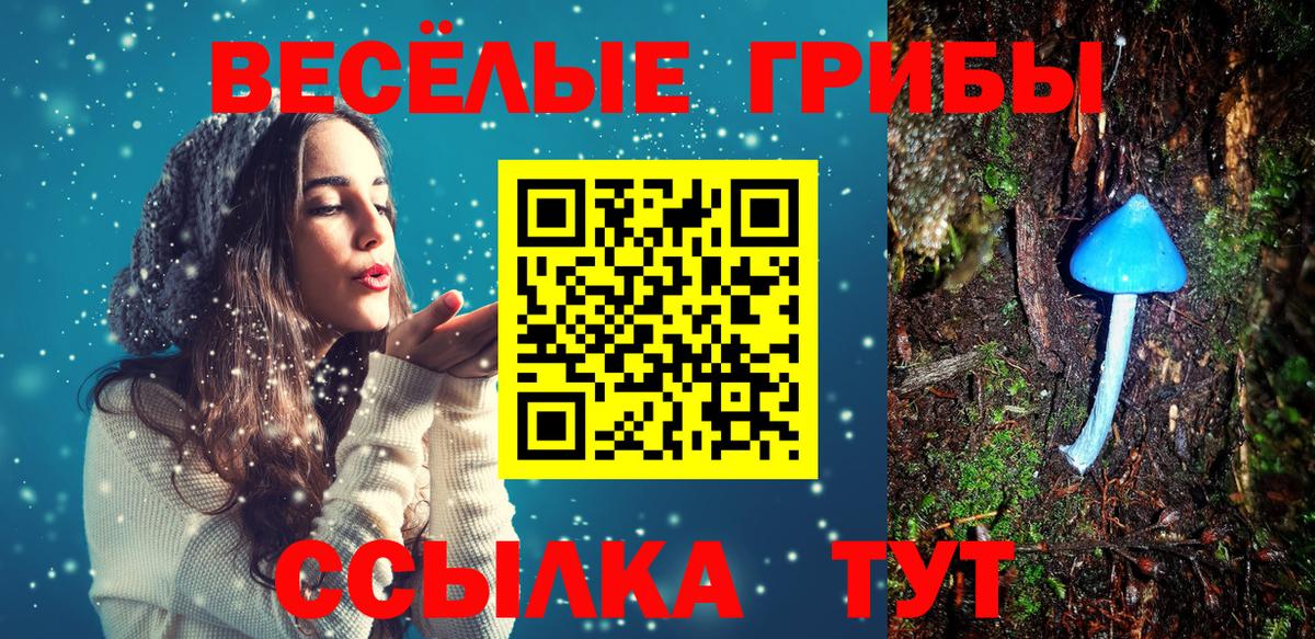 где найти   Вход с VPN  Сегежа  Галлюциногенные грибы Magic Shrooms 
